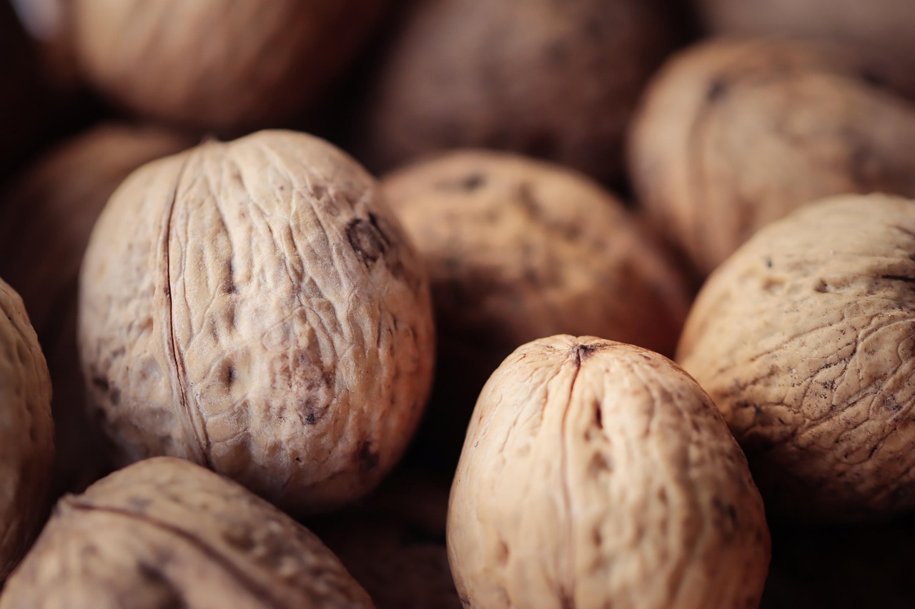 无限互联实名账号:奇游注册账号