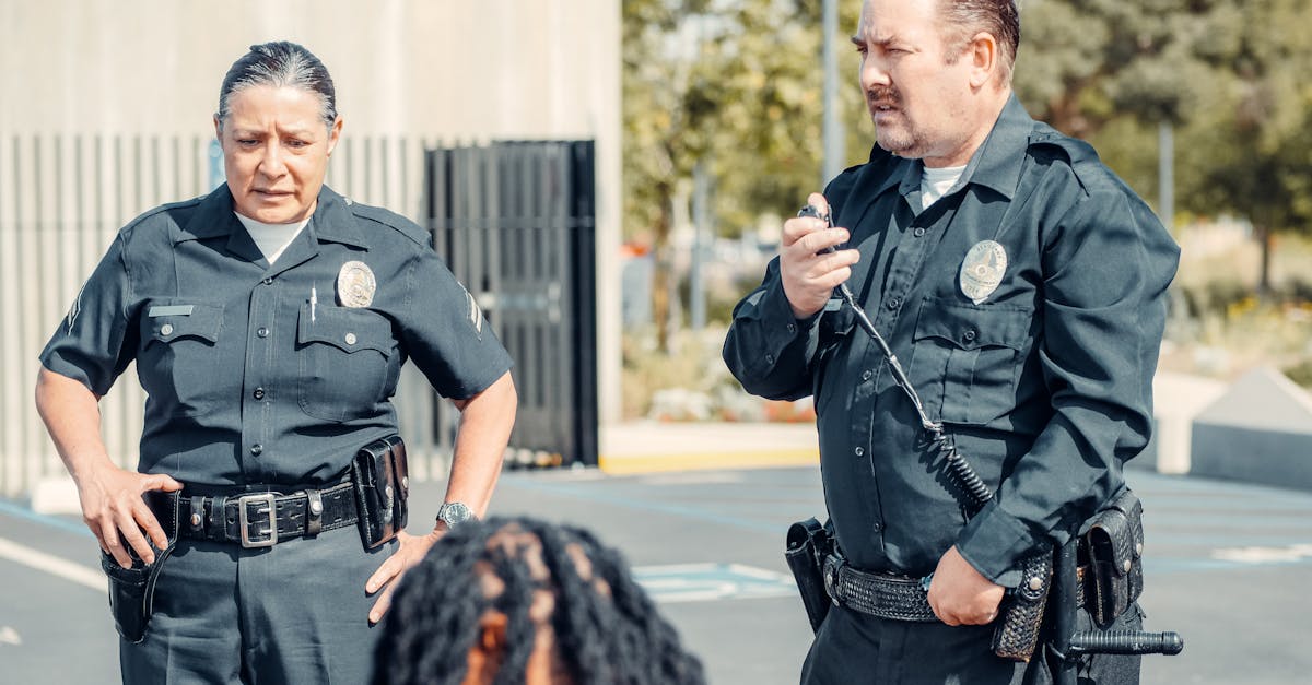 绿摩尔：巫溪专业税务代理平台资质