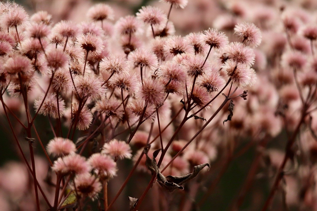女鞋专业代理平台